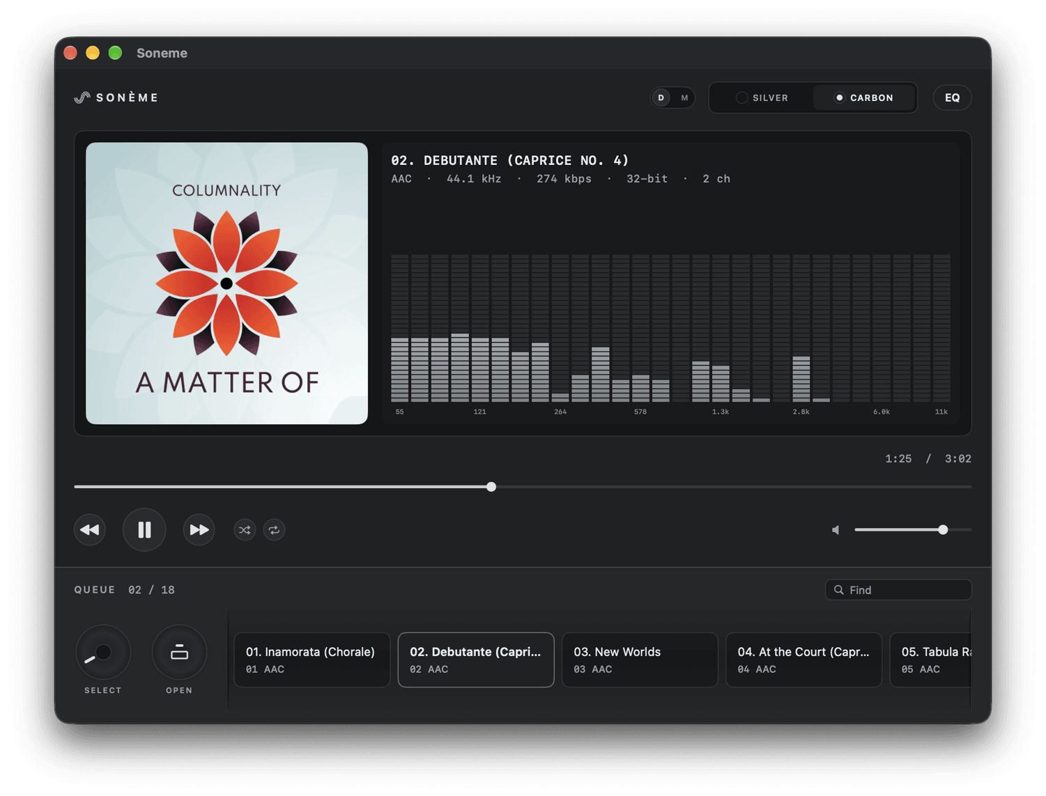 Soneme playing an album